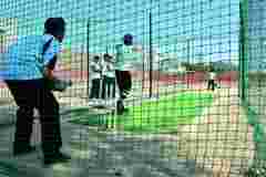 CRICKET