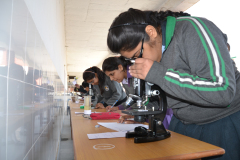 bio-lab-2